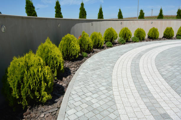Best Affordable Driveway Paving  in Lutz, FL