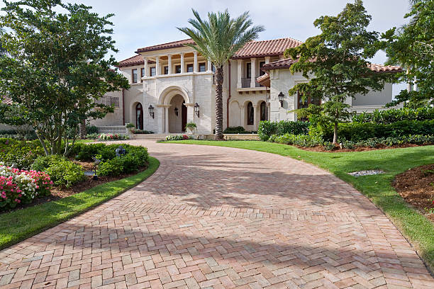 Best Driveway Paving Contractor  in Lutz, FL